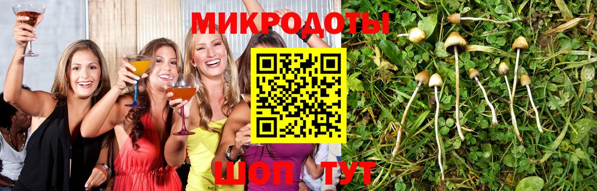 Галлюциногенные грибы мухоморы  Вход с VPN  Кунгур 